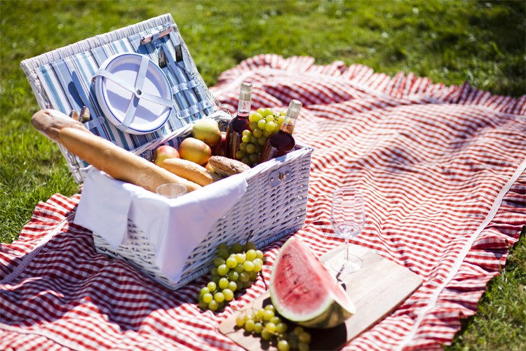Piknik yapma sanatı