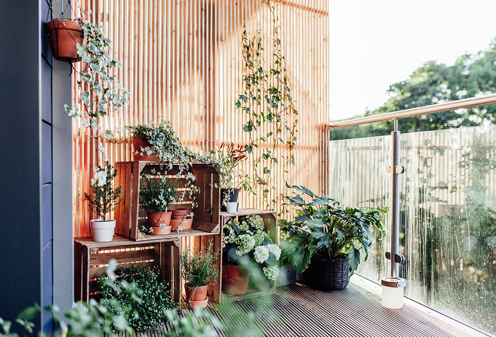 Şehir bahçeciliğini balkonlara taşıyın