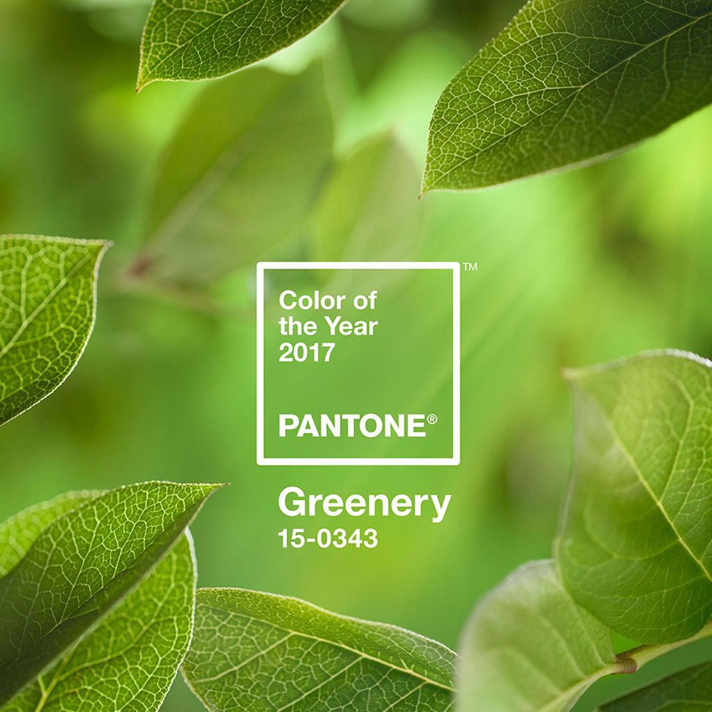 Pantone 2017'nin rengini açıkladı