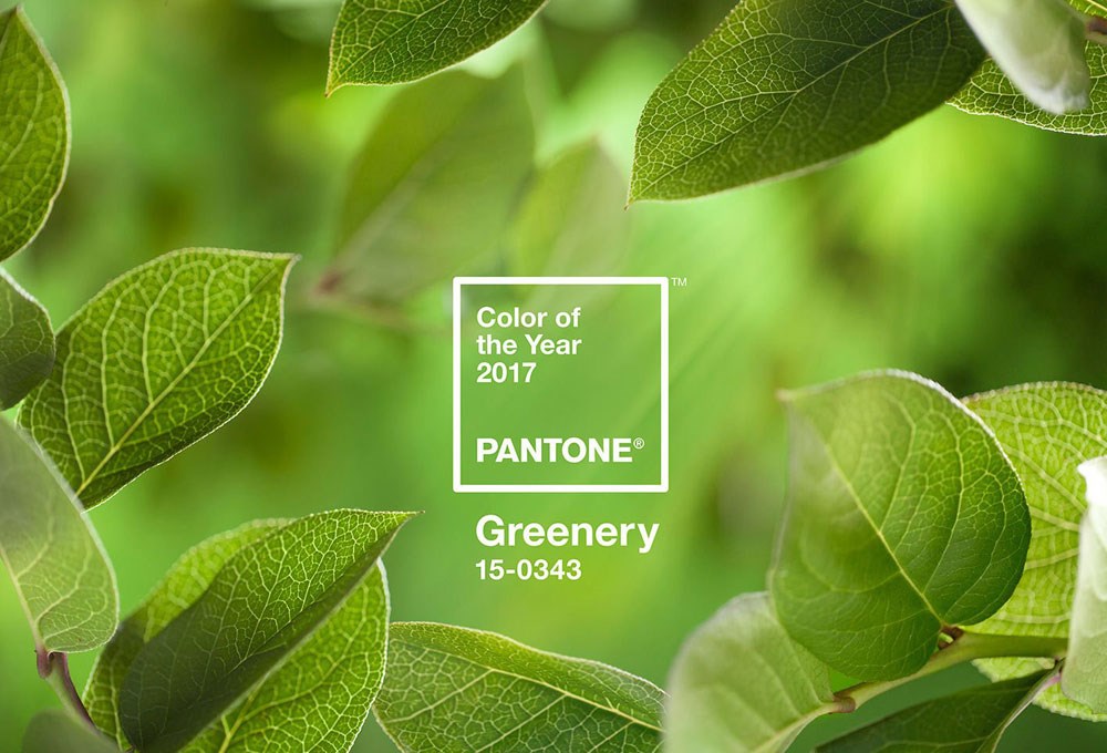 Pantone 2017'nin rengini açıkladı