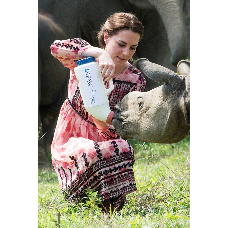 Kate Middleton'ın Hindistan bavulu