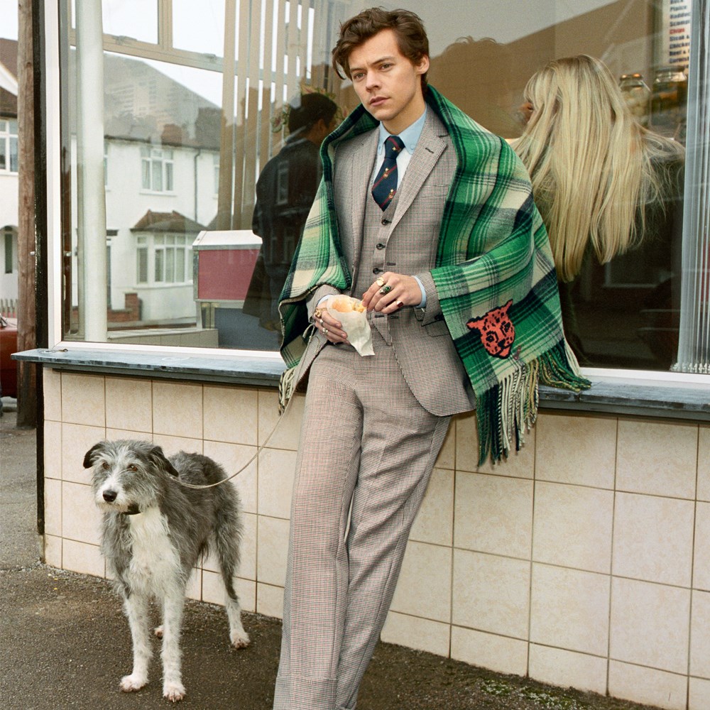 Harry Styles Gucci kampanyasında