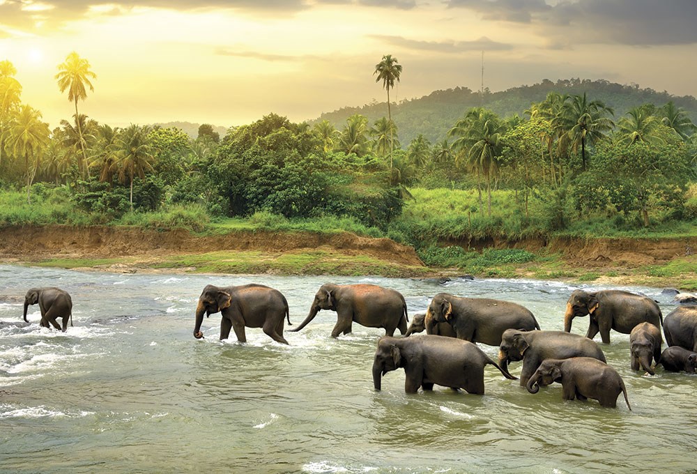 Sri Lanka'da 8 gün 