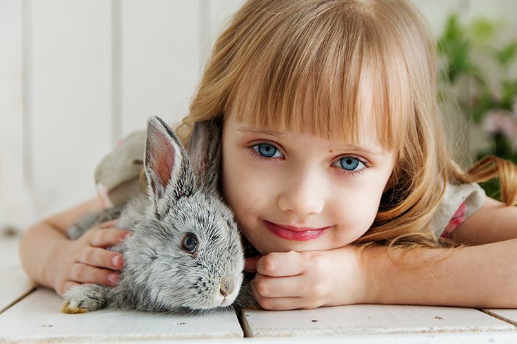 Çocuğunuzu hayvanlarla birlikte yetiştirmeniz için 12 neden