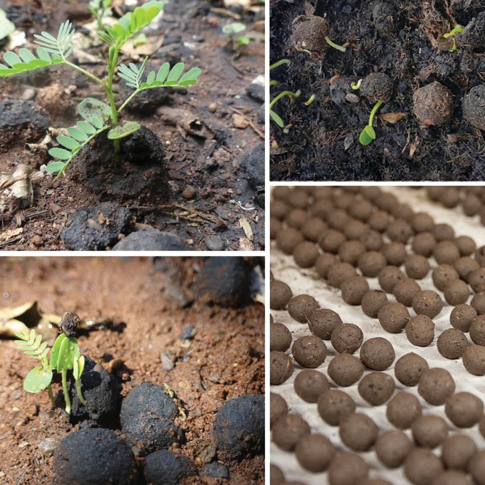 Nuxe Organic'ten tohum topu atışlarıyla ağaçlandırma