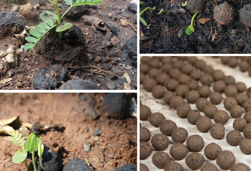 Nuxe Organic'ten tohum topu atışlarıyla ağaçlandırma