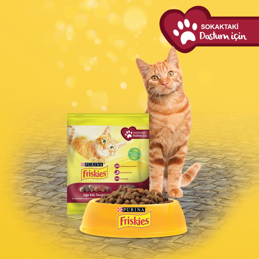 “Purina Friskies” ve “Yemeksepeti”  sokak kedileri için anlamlı bir iş birliğine imza atıyor