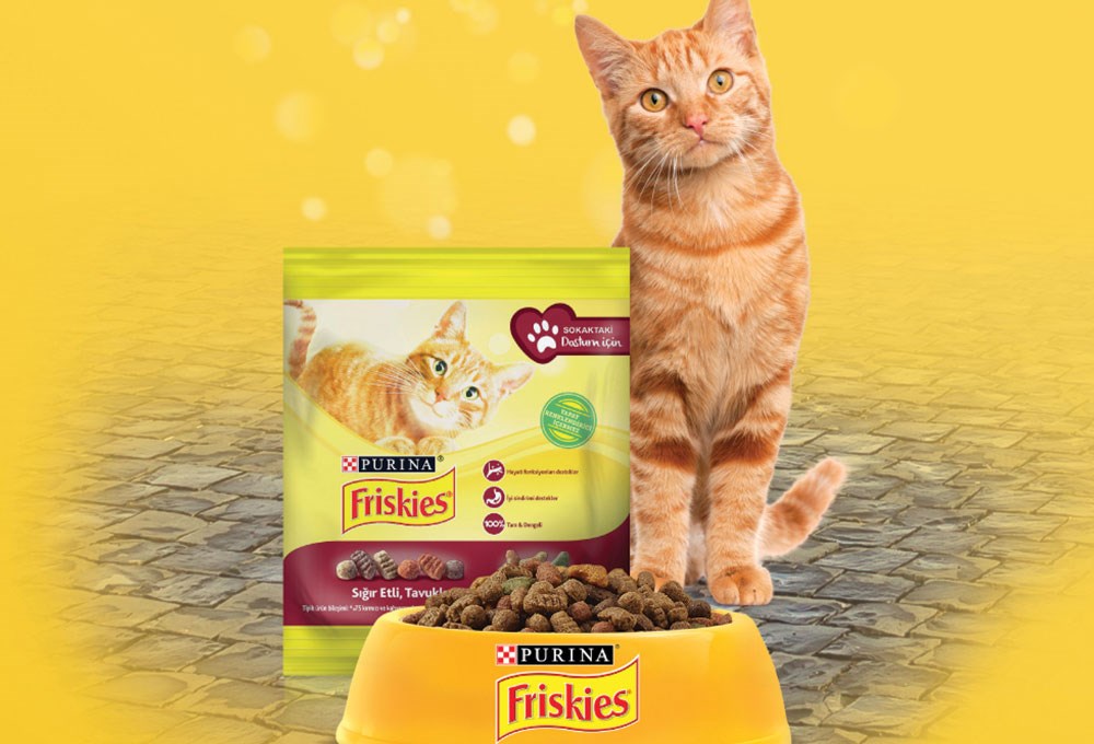 “Purina Friskies” ve “Yemeksepeti”  sokak kedileri için anlamlı bir iş birliğine imza atıyor