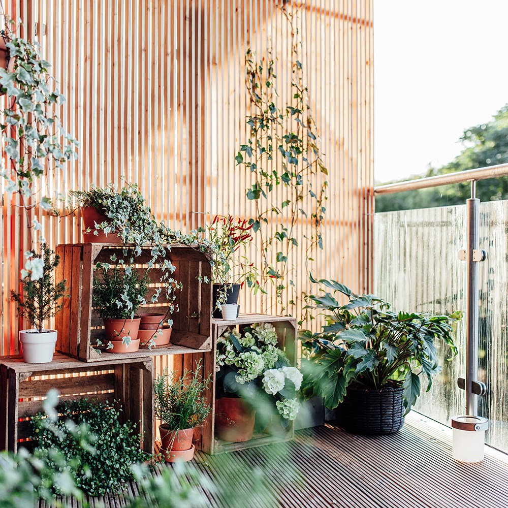 Şehir bahçeciliğini balkonlara taşıyın