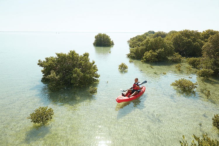 Farklı bir tatil rotası: Katar