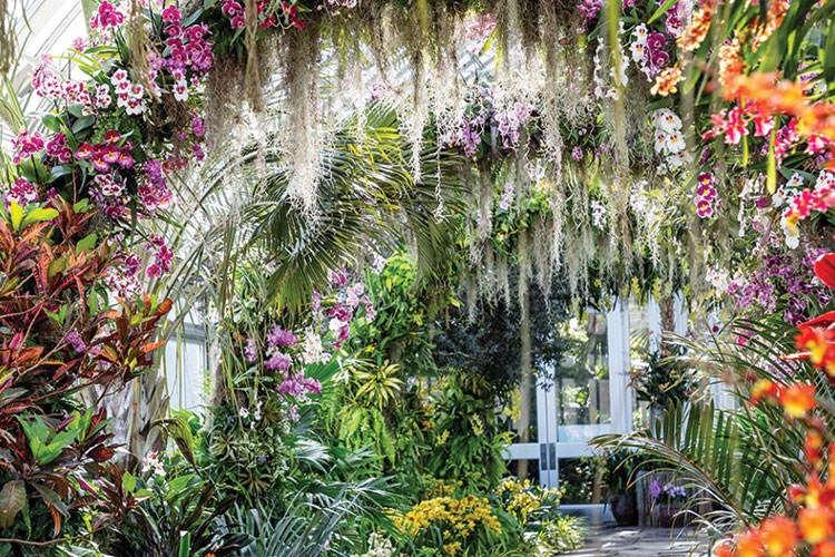 Dünyanın en güzel botanik bahçeleri