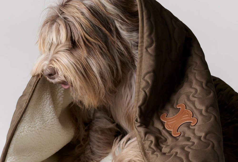 Celine Maison, yeni köpek aksesuarları koleksiyonunu tanıttı