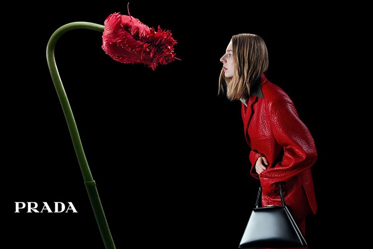 Prada Sonbahar/Kış 2023 kampanyasında ünlüler çiçeklerle söyleşide