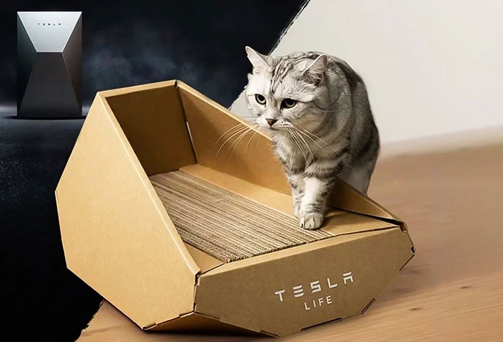 Tesla, Cybertruck'tan esinlenen kedi yuvası çıkardı