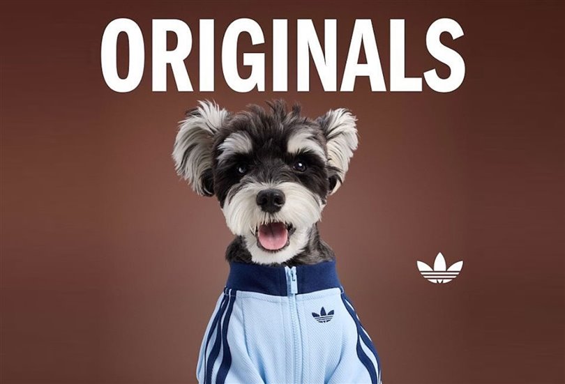 Adidas Originals, Pet koleksiyonunu şişme yelekler ve eşofmanlarla genişletiyor