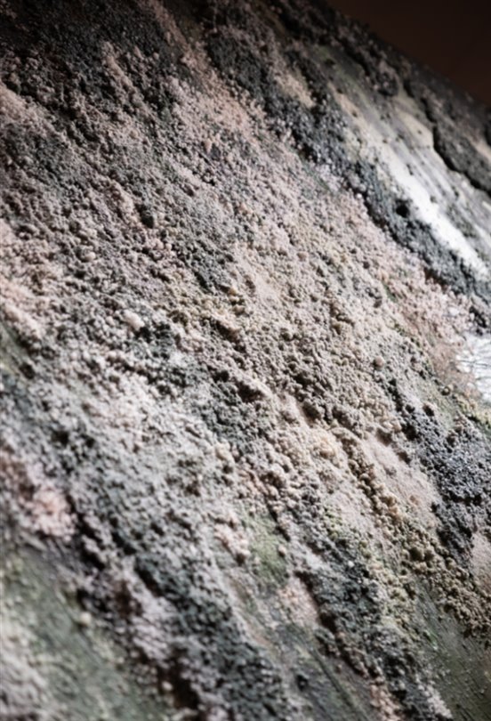  Tuğçe Çalımbay’ın ‘Salina’ sergisi Eleventy Galataport İstanbul’da