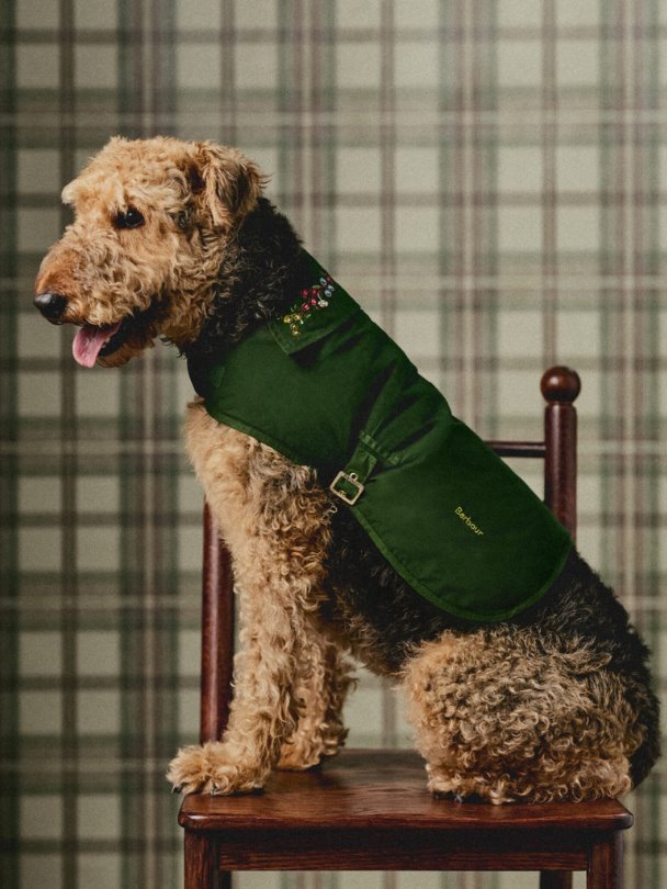 Barbour ve Anthropologie sonbaharın ruhunu tek koleksiyonda buluşturuyor